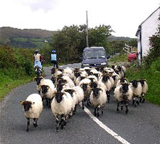 Ireland-Burren-Clare and the Burren cycling safari